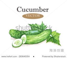 视频背景吃瓜图片高清,揭秘网络热图的魅力与争议