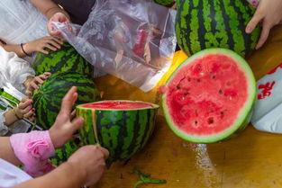 跳吃瓜视频,跳吃瓜的娱乐盛宴