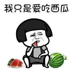 吃瓜道理,揭秘娱乐圈背后的真相与道理