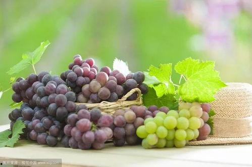 吃葡萄跟吃瓜的孩子图片,孩子们的甜蜜时光