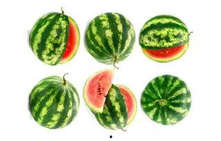 景惜吃瓜,揭秘娱乐圈背后的那些事儿