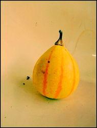 新沂吃瓜视频,揭秘当地特色美食背后的故事