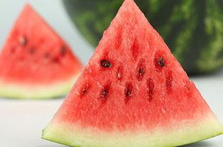 大连摩友吃瓜,吃瓜事件背后的真相与反思