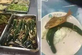 吃瓜食堂大妈,揭秘日常生活中的趣味故事