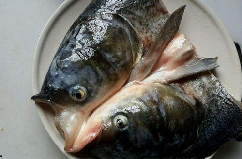 八瓜鱼头怎么吃,解锁美味鱼头新吃法