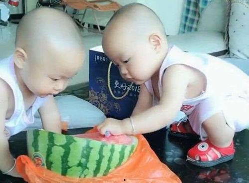 双胞胎吃冰瓜会怎么样,揭秘奇妙亲子互动瞬间