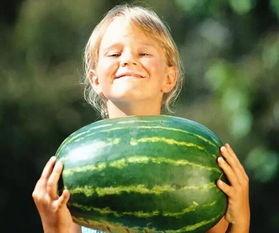 吃瓜乐不停,乐不停揭秘娱乐圈幕后故事