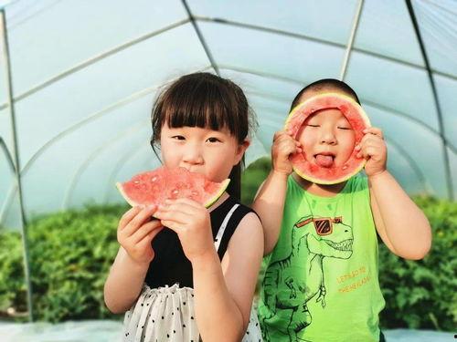 带你吃瓜娃,揭秘娱乐圈那些不为人知的幕后故事